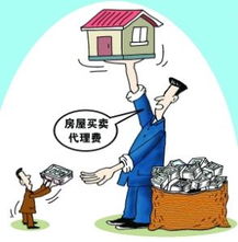 房產(chǎn)中介信息咨詢服務(wù)的價值與作用